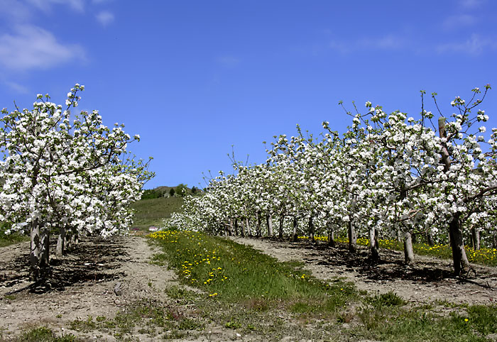 DSCN9084.jpg