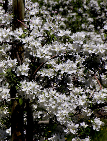DSCN9100.jpg
