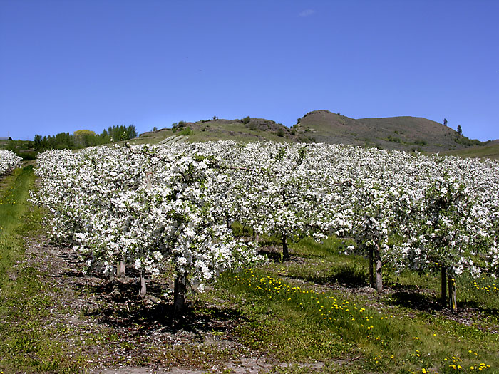 DSCN9110.jpg