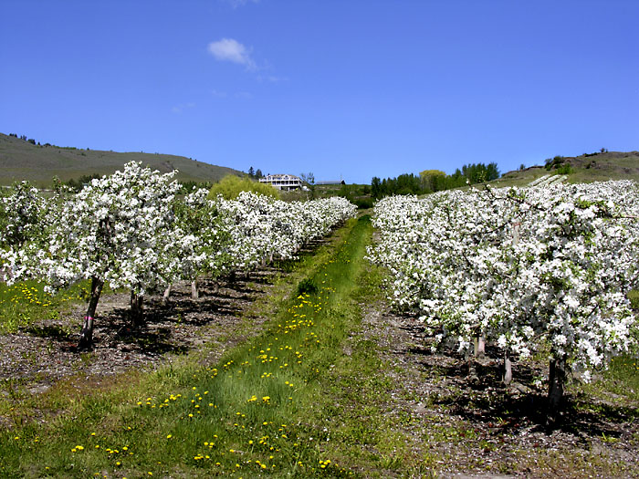 DSCN9111.jpg