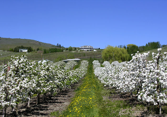 DSCN9123.jpg