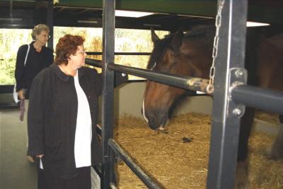 u11/hvbeek/medium/2635505.carlapaard.jpg