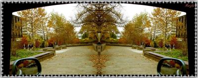 Photo of Mirrored Images