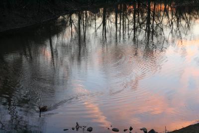 the watery sky