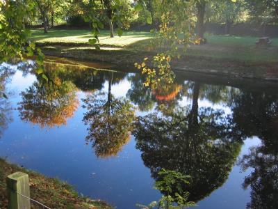 Wilton Lodge Park Reflectionsjpg