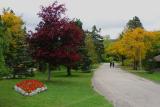 Bowring Park in Autumn 013