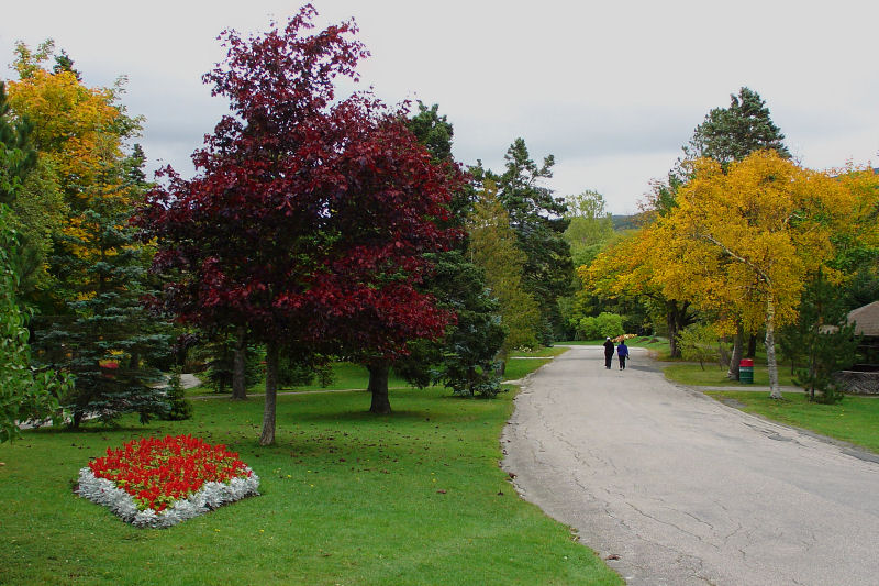 Bowring Park in Autumn 013