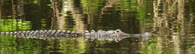 P3260254sm.jpg