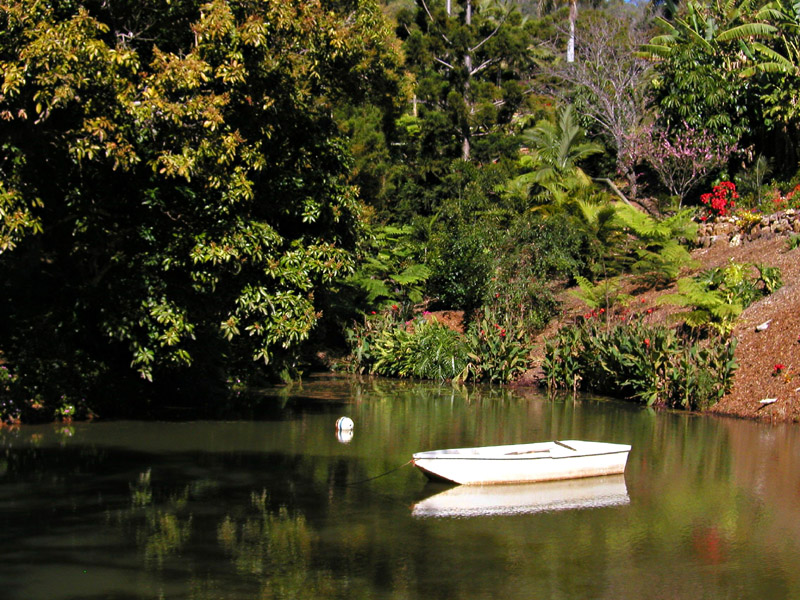 Bettys Pond copy.jpg