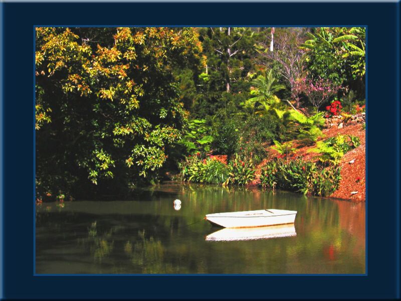 Bettys Pond Action copy2.jpg