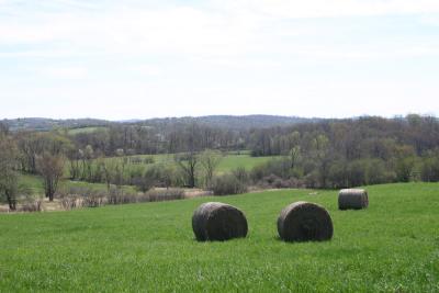 u11/jackjm/medium/42869865.Haybales.jpg