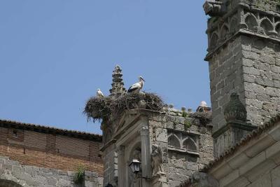 Avila-2.jpg