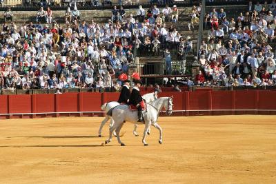 Bull Fight, Sevilla, Spain