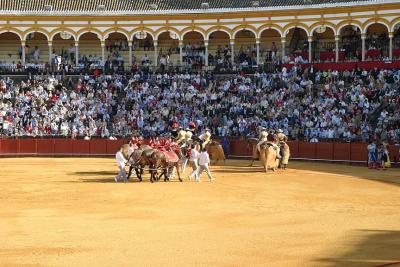 Bullfight-04.jpg
