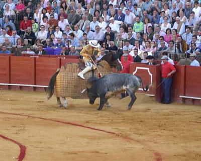 Bullfight-11.jpg