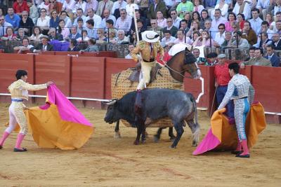 Bullfight-12.jpg