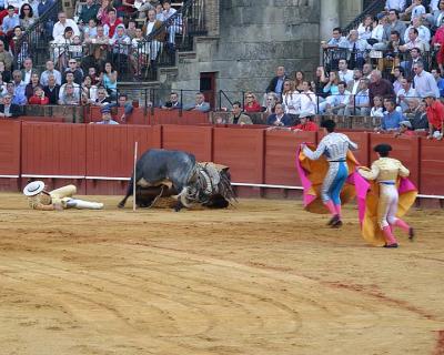 Bullfight-15.jpg
