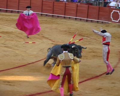 Bullfight-19.jpg