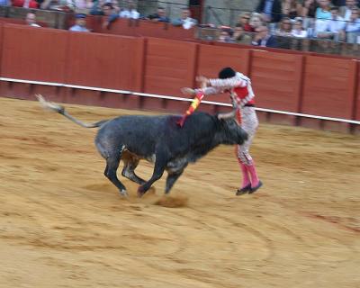 Bullfight-19A.jpg