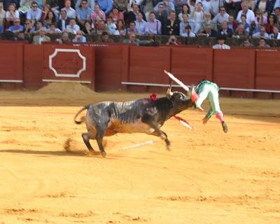 Bullfight-20.jpg