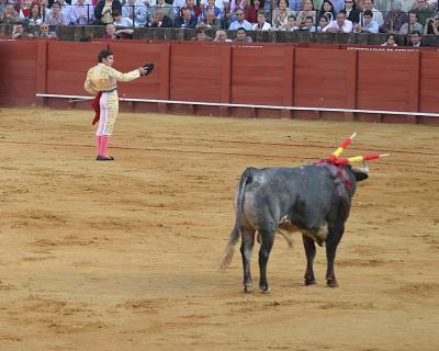 Bullfight-22.jpg