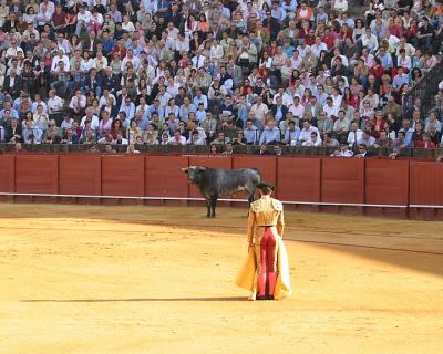 Bullfight-24-A.jpg