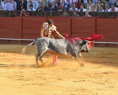 Bullfight-25.jpg