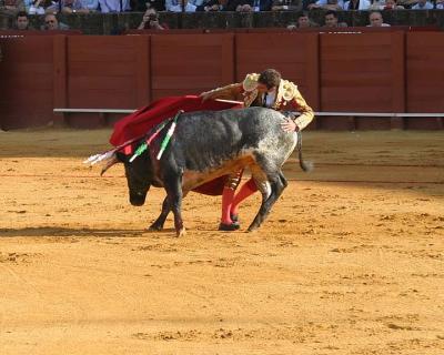 Bullfight-26.jpg