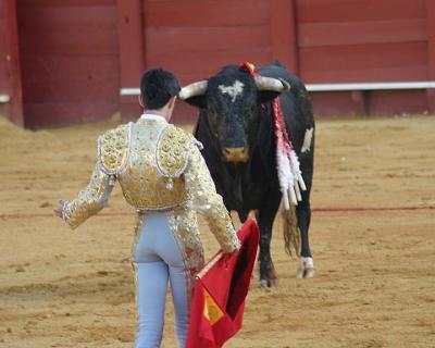 Bullfight-26A.jpg