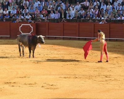 Bullfight-27.jpg