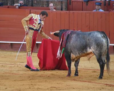 Bullfight-28.jpg