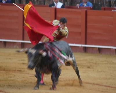 Bullfight-29.jpg