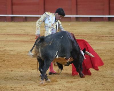 Bullfight-30.jpg