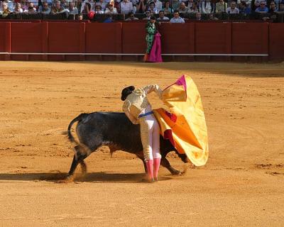 Bullfight-31.jpg