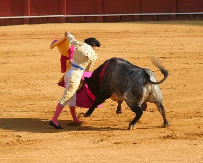Bullfight-32.jpg
