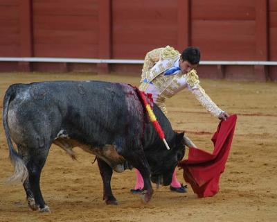 Bullfight-33.jpg