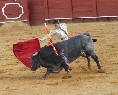 Bullfight-34.jpg