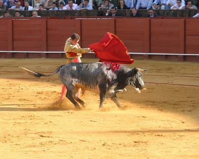 Bullfight-34A.jpg