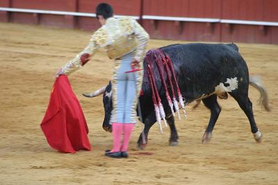 Bullfight-35.jpg