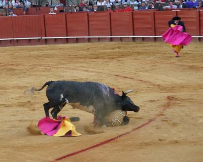 Bullfight-36.jpg
