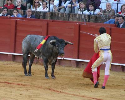 Bullfight-42.jpg