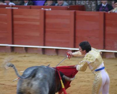 Bullfight-43.jpg