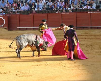 Bullfight-45.jpg