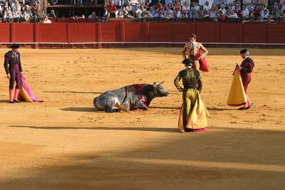 Bullfight-46.jpg