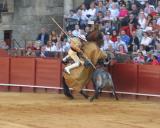 Bullfight-14.jpg