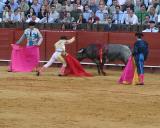 Bullfight-44B.jpg