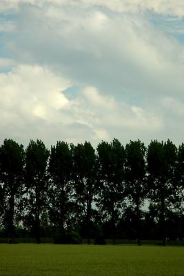 Dsc02030.jpg