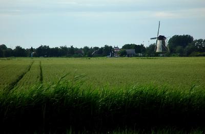Dsc02037.jpg