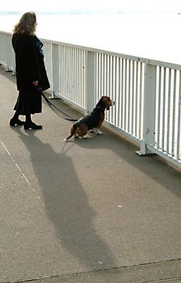 DSCF5556.jpg