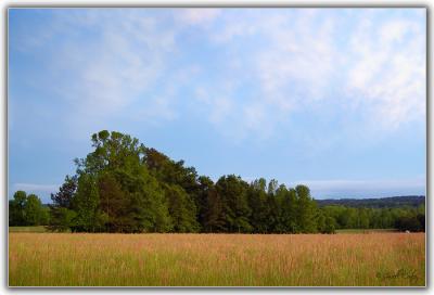 after-the-rain.jpg